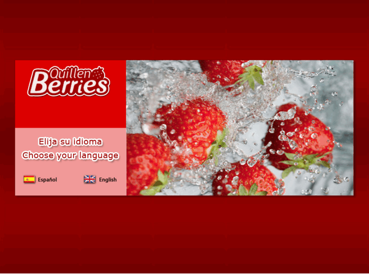 www.quillenberries.com