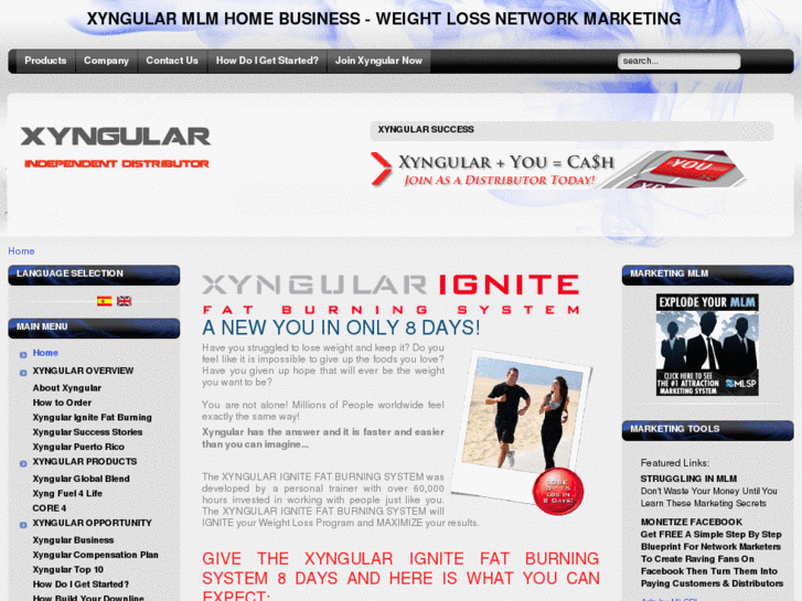 www.sgsmarketing.info