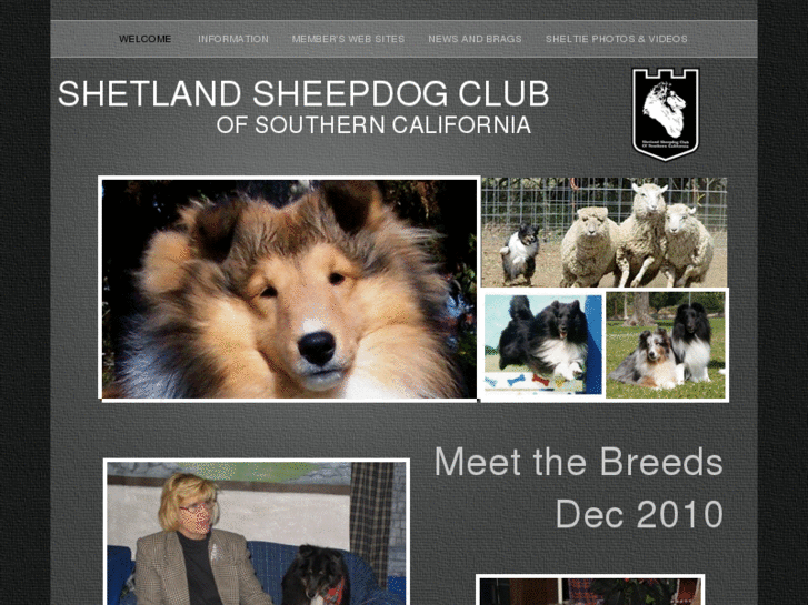 www.sheltiesocal.com