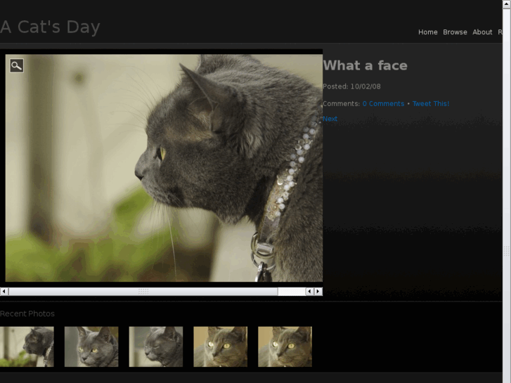 www.acatsday.com