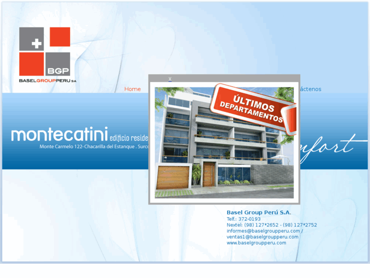 www.baselgroupperu.com