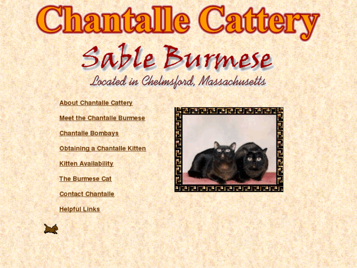 www.chantalle.com