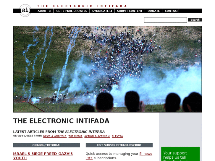 www.electronicintifada.com