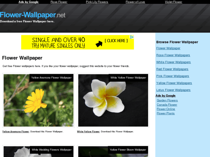 www.flower-wallpaper.net