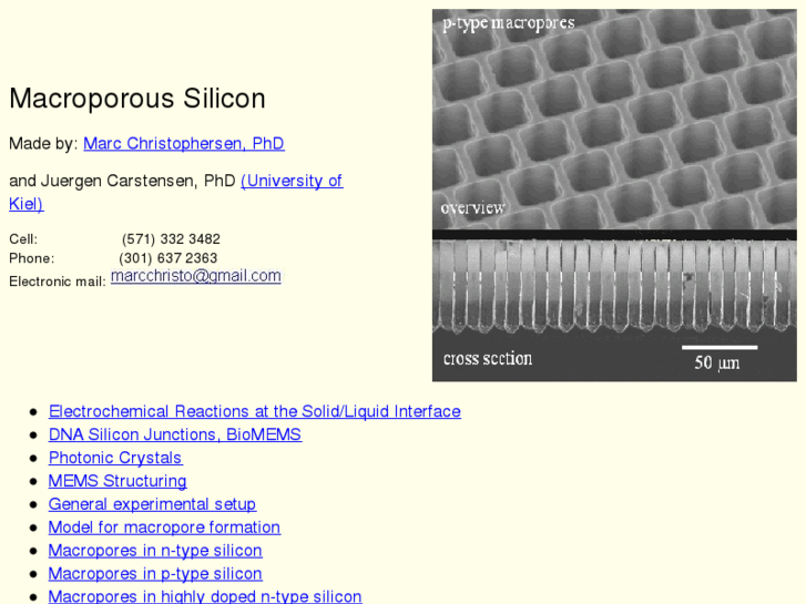 www.macroporous-silicon.com
