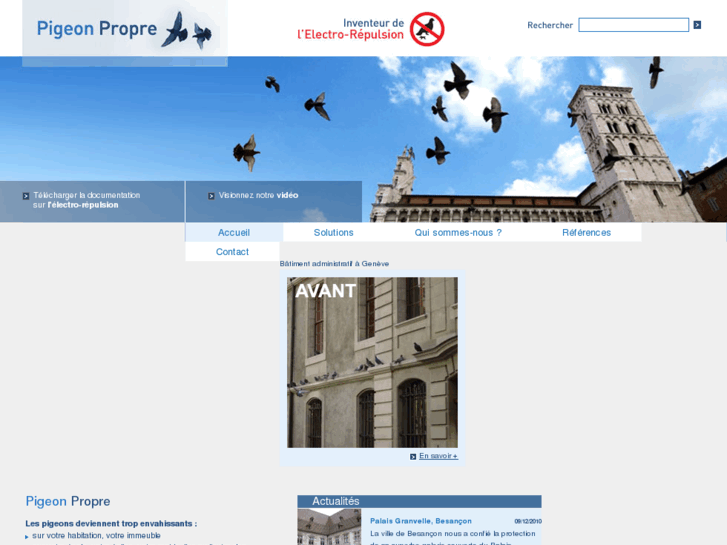 www.pigeon-propre.com