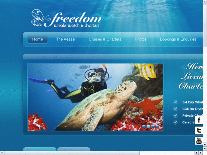 www.freedomwhalewatch.com