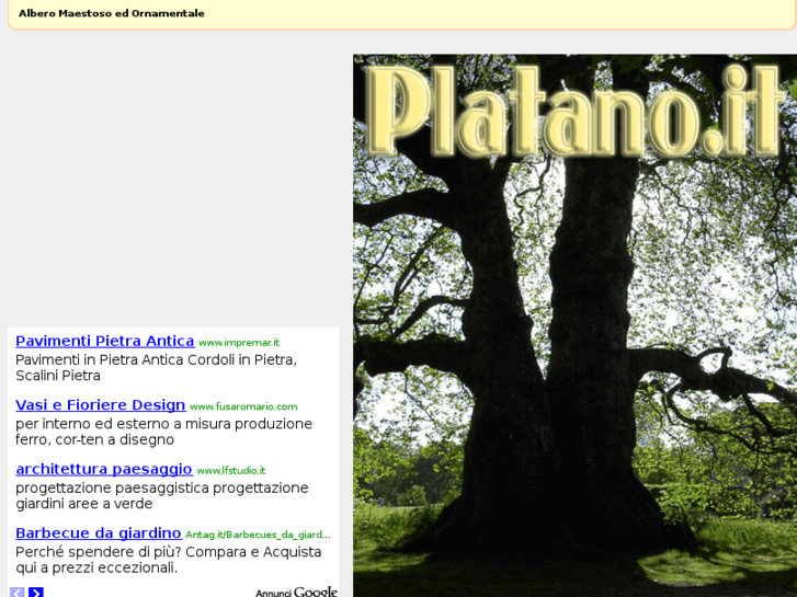 www.platano.it