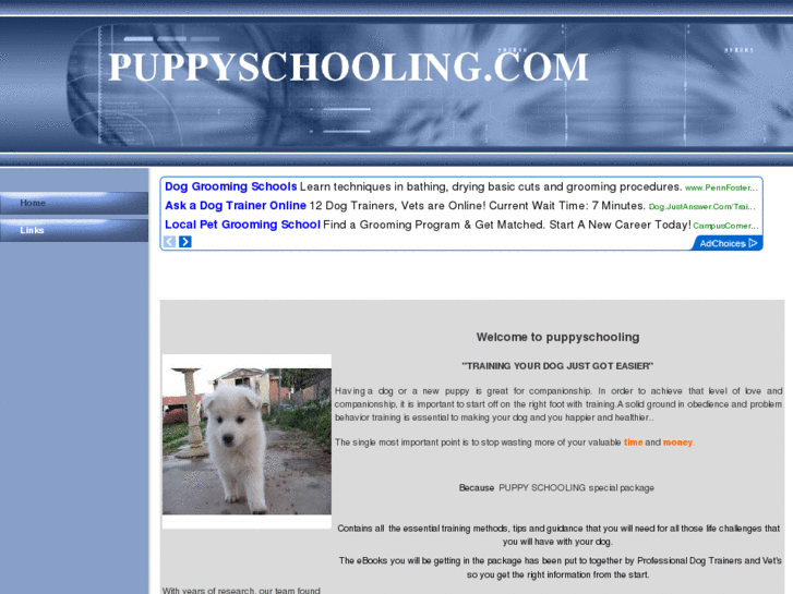 www.puppyschooling.com