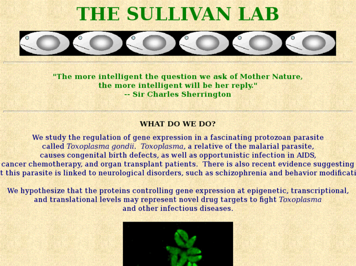 www.sullivanlab.com