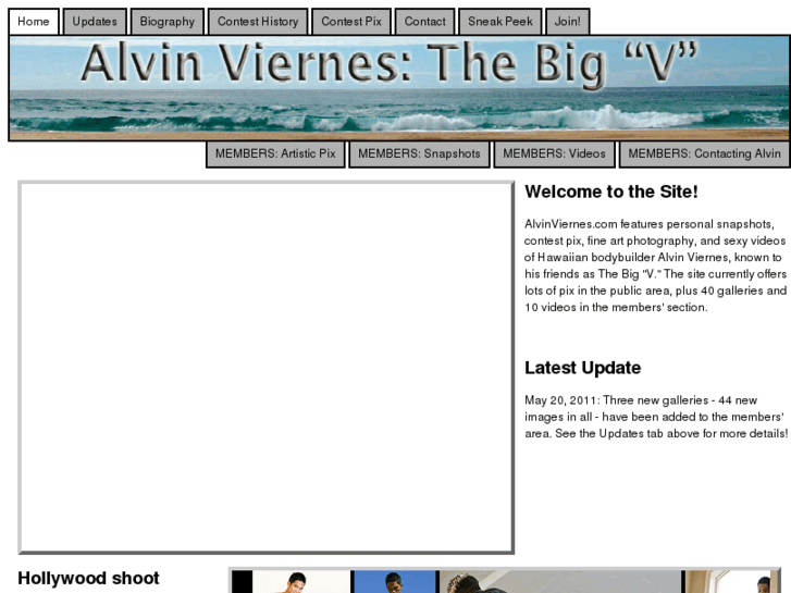 www.alvinviernes.com