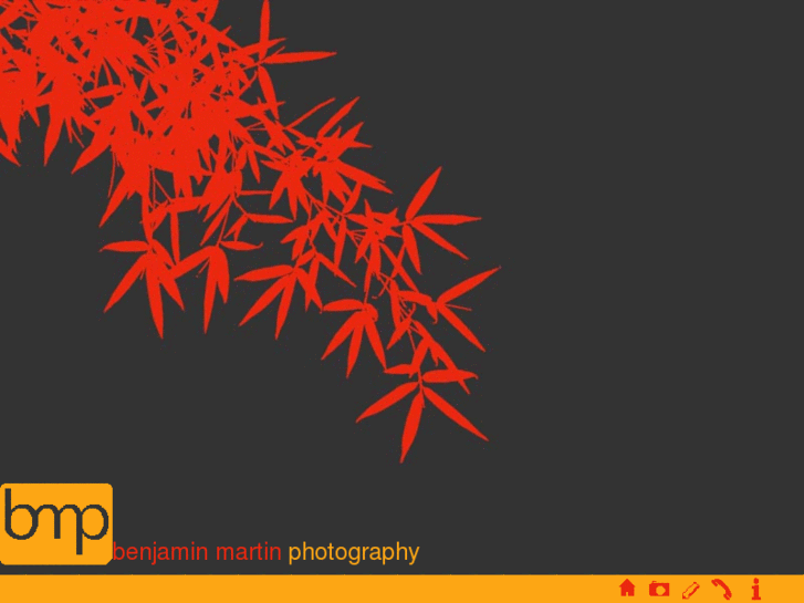 www.benjaminmartin.net