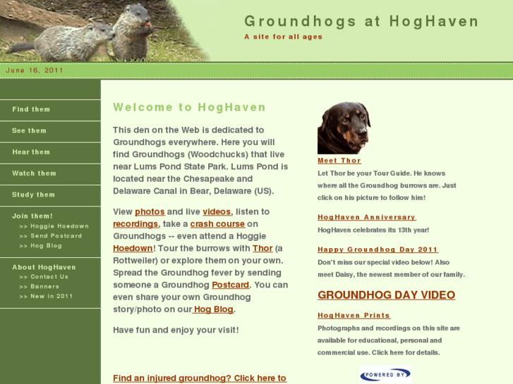 www.hoghaven.com