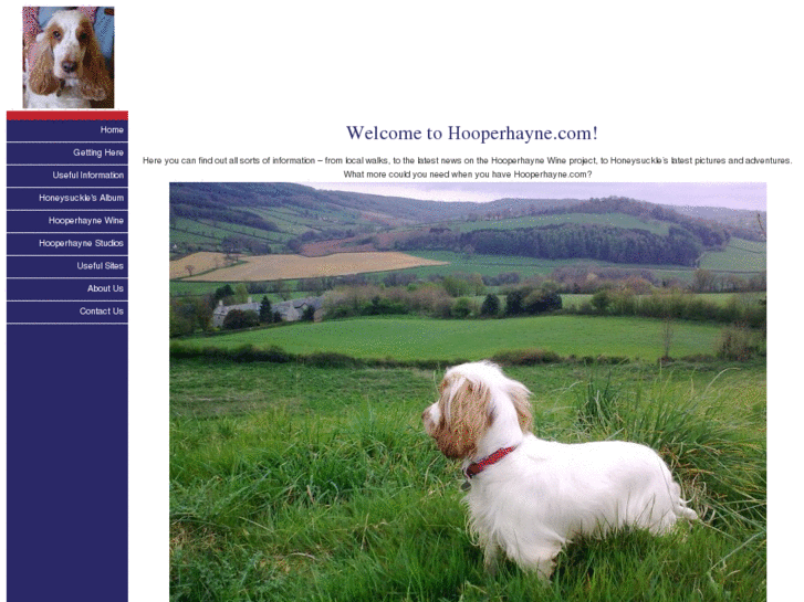 www.hooperhayne.com