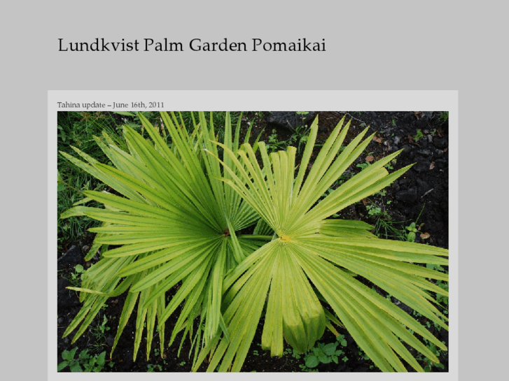 www.lundkvistpalmgardencentral.com