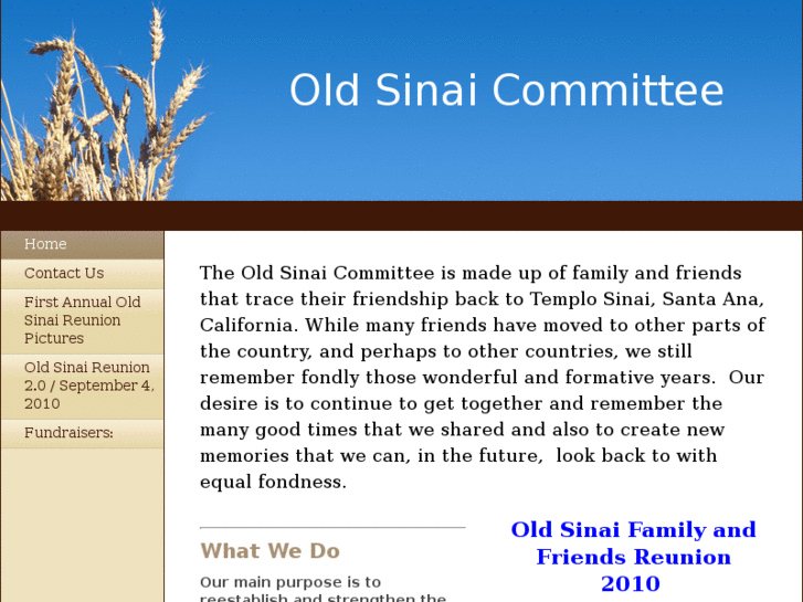 www.oldsinai.com