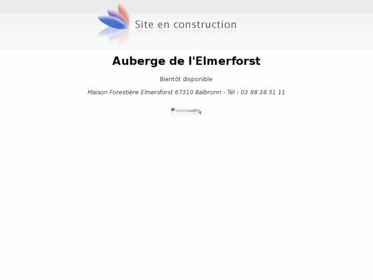 www.elmerforst.com