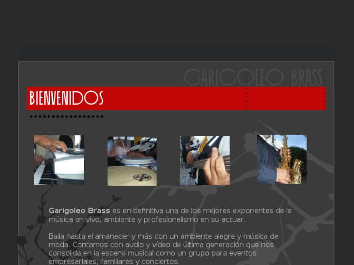 www.garigoleo.com