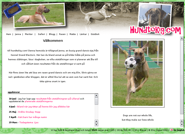 www.hundtokig.com