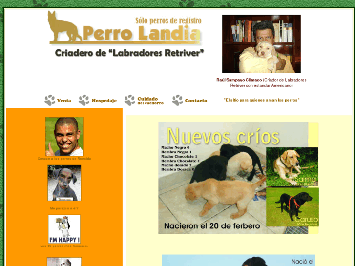 www.perrosderegistro.com