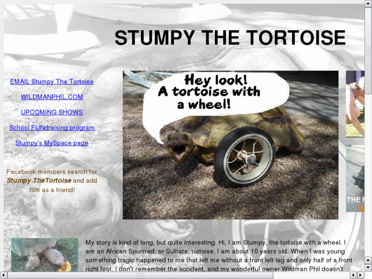 www.stumpythetortoise.net