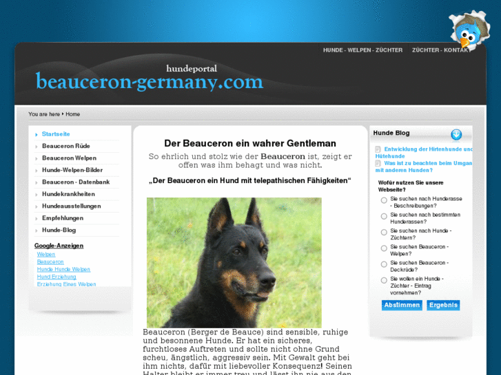 www.beauceron-germany.com