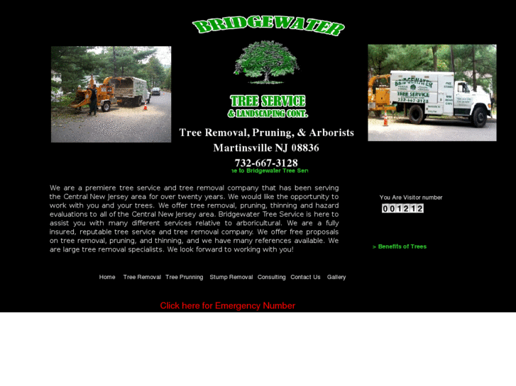 www.bridgewatertreeservice.com