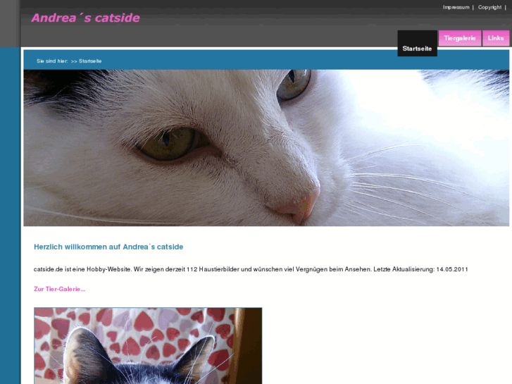 www.catside.de