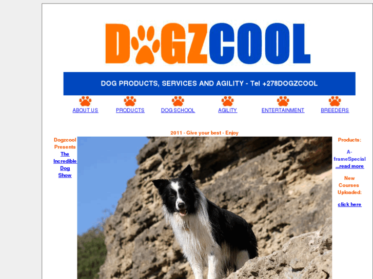 www.dogzcool.com