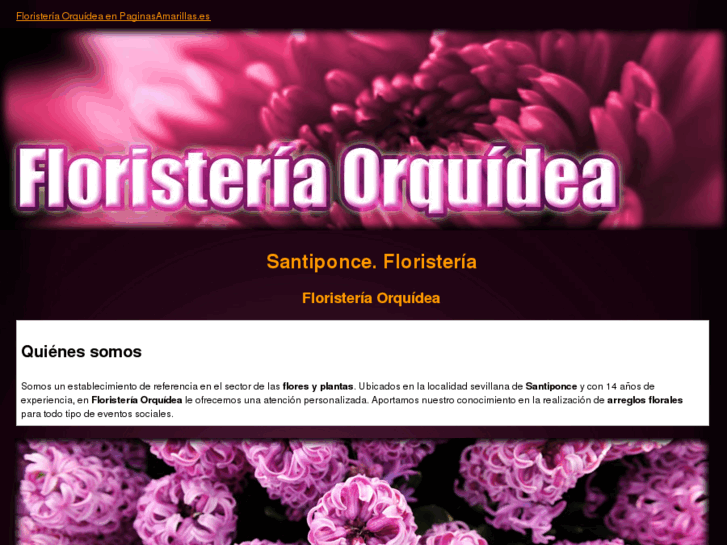 www.floristeriaorquidea.net