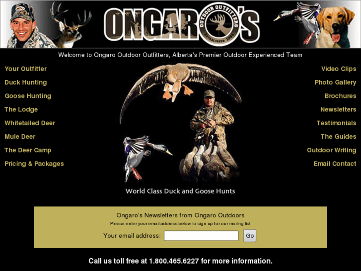 www.ongaros.com