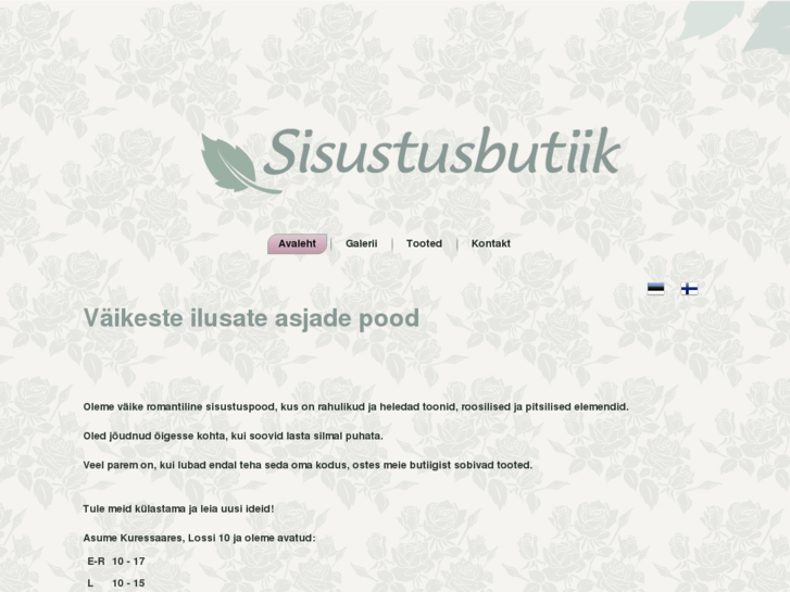 www.sisustusbutiik.com