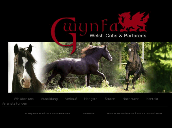 www.welsh-cobs.net