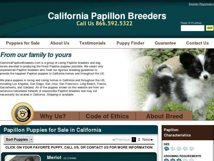 www.californiapapillonbreeders.com