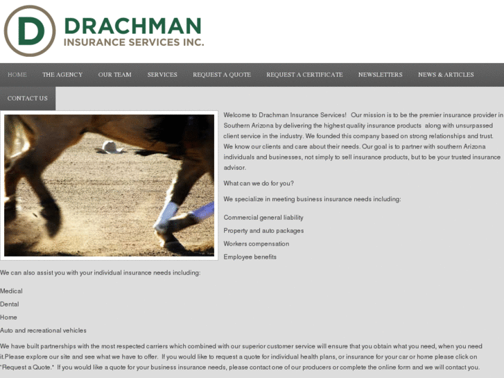 www.drachmaninsuranceservices.com