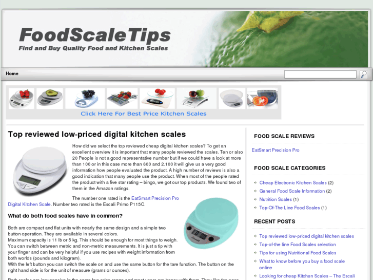 www.foodscaletips.com