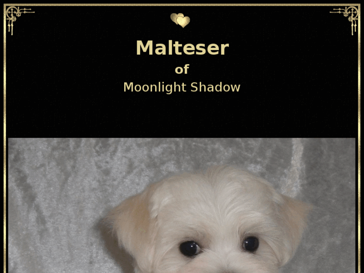 www.malteserdream.de