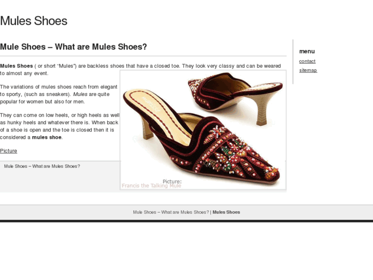 www.mules-shoes.com
