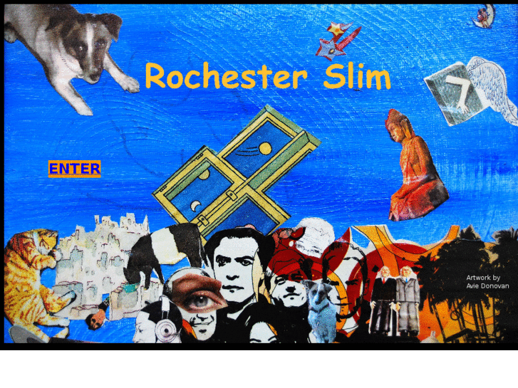 www.rochesterslim.com