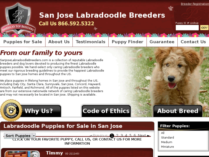 www.sanjoselabradoodlebreeders.com