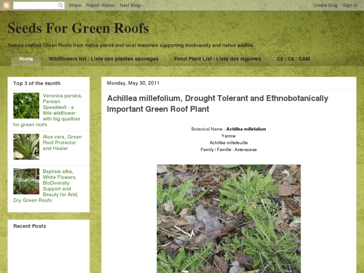 www.seedsforgreenroofs.com