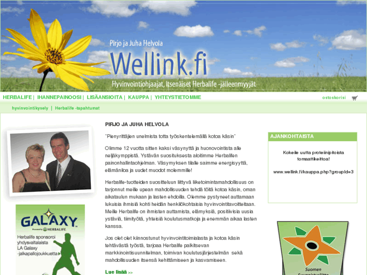 www.wellink.fi