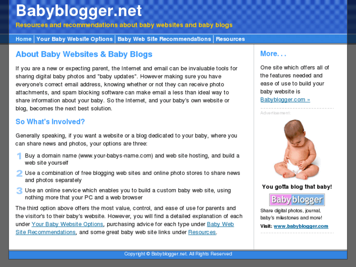 www.babyblogger.net