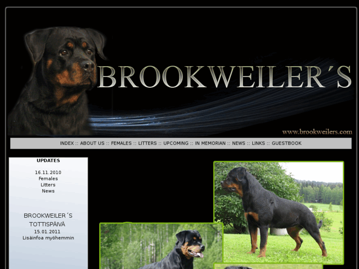 www.brookweilers.com