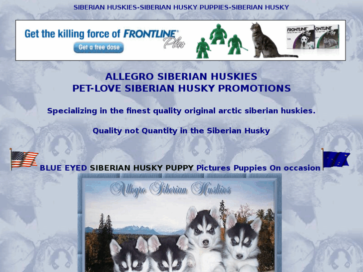 www.husky-petlove.com