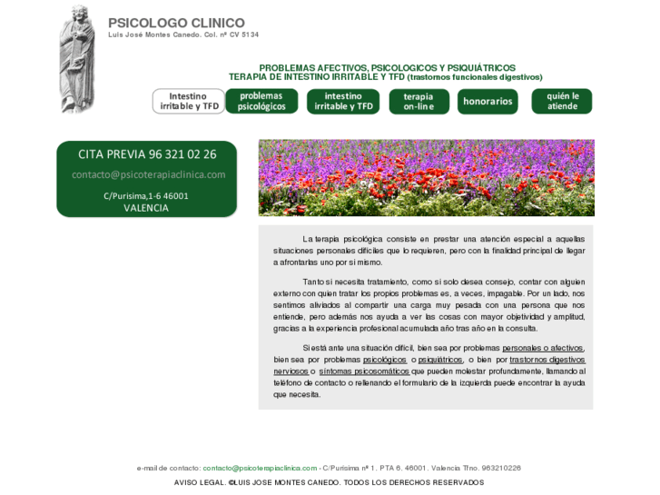 www.psicoterapiaclinica.com