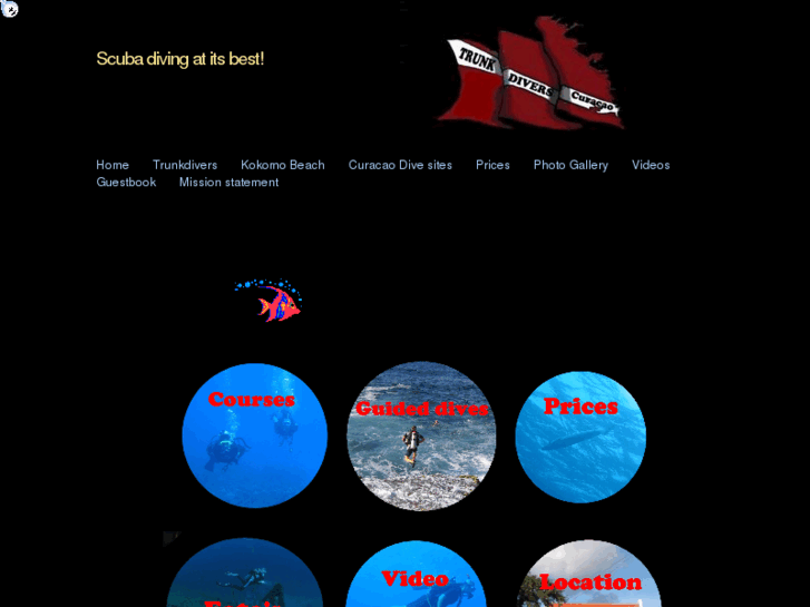www.trunkdivers.com