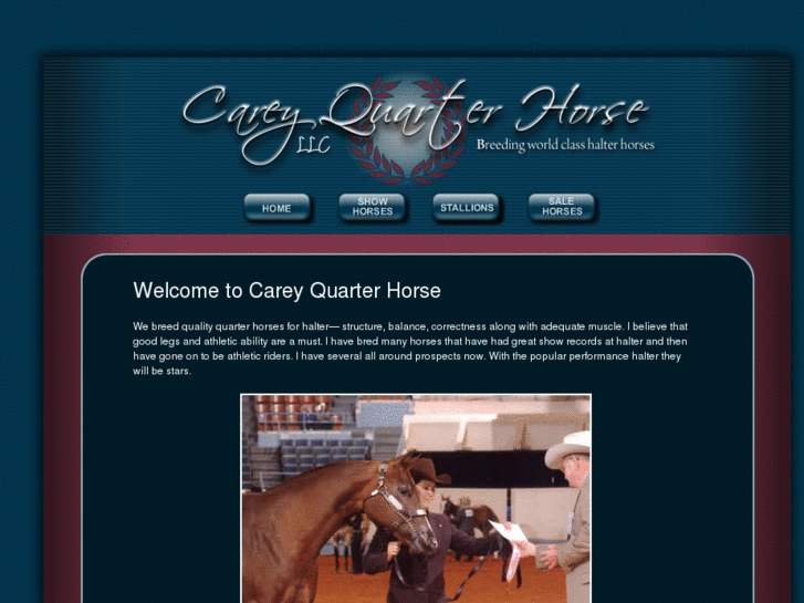 www.careyquarterhorse.com