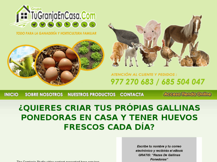 www.gallinasponedoras.com