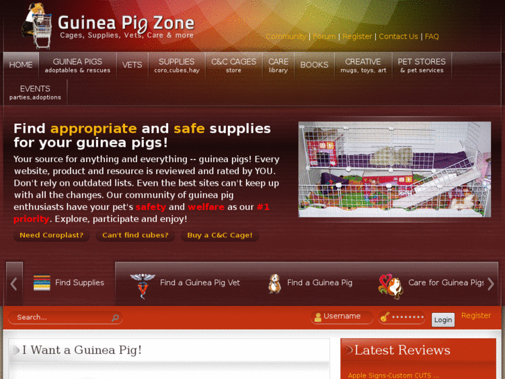 www.guineapigzone.com